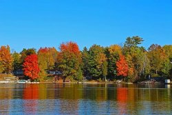Fall colors.jpg