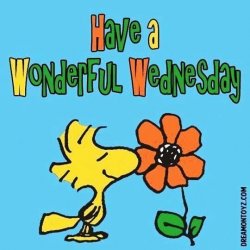 Have a Wonderful Wednesday.jpg