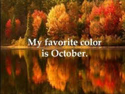 a90acbcf4b489e0f81927c796aa51167-autumn-leaves-autumn-fall.jpg