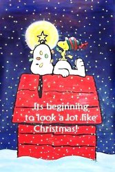 Looks like Christmas.jpg