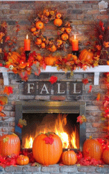 828140F2-4DDB-4AFD-83A7-B0754D7186A6.gif