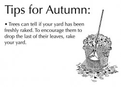 Fall Raking.jpg