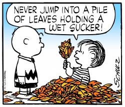 Linus Observation.jpg