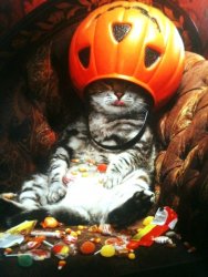 Candy Cat.jpg