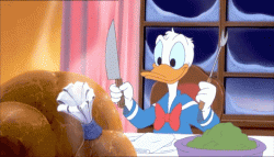 giphy-8.gif