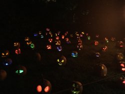 IMG_6231.JPG