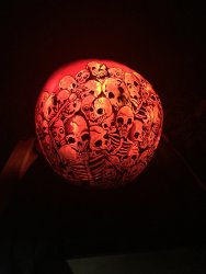 IMG_6263.JPG