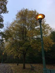 IMG_0220.JPG