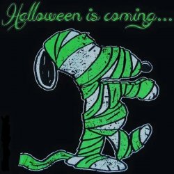 Snoopy Halloween.jpg