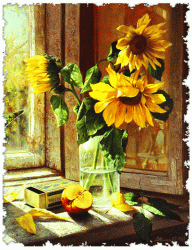 66E25736-45EB-4BE4-9767-55C9C517CC00.gif