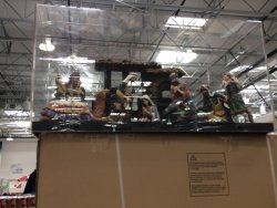 IMG_1156.JPG