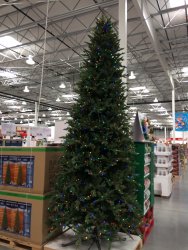 IMG_1162.JPG