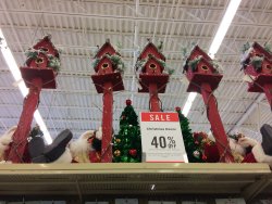 IMG_1376.JPG IMG_1376.JPG