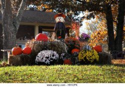outdoor-fall-decoration-with-scarecrow-pumpkins-hay-and-mums-h51cpk.jpg