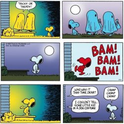 Snoopy Halloween.jpg