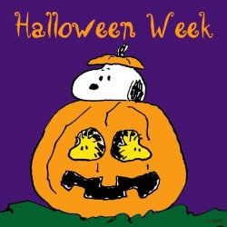 Halloween Week.jpg
