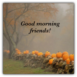 77D2BFCC-1754-4F00-ADFA-446664F61F2A.png