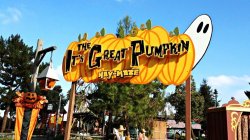 Great Pumpkin Maze.jpg