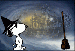 421779BA-CDA6-46B7-B6F4-D62AC7ADBA66.gif