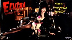Elvira Mistress of the Dark.jpg