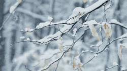 1706A9D1-0BB6-4E9F-B713-4283D12452C0.gif
