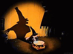 305F8268-86A9-409C-81BF-2FCA4E2CD787.gif