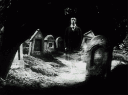 15DF9890-613F-4080-B829-7D0E6135E579.gif