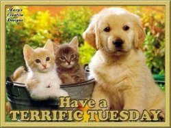 Have-A-Terrific-Tuesday.jpg Have-A-Terrific-Tuesday.jpg