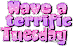 terrific_tuesday.gif