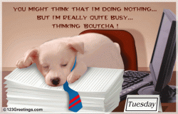 tuesday.gif