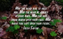 Irish Saying.jpg