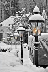 0ADF08FE-8AD2-4BBF-A63C-B34AB235E2A7.jpeg