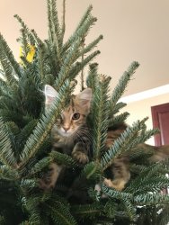 IMG_1846.jpg IMG_1846.jpg