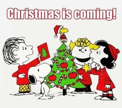 Christmas Is Coming.jpg