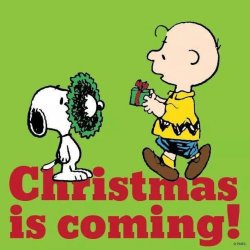 221583-Christmas-Is-Coming.jpg