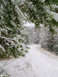 28d30724d1ac7c2c98d9b935ba0d2469.gif