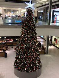 IMG_0263.JPG