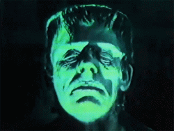 3137AF79-2E11-45F5-B3F2-4E0B0D085104.gif