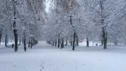 IMG_2037.JPG
