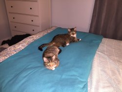 IMG_0692.JPG