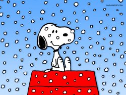 Snoopy it's Snowing.jpg
