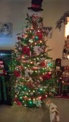 WP_20171122_19_24_34_Pro.jpg