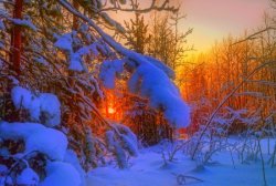 1874647-bigthumbnail.jpg