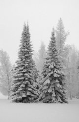 15D4E3AC-C4EF-4875-84FA-99DE4C92354E.jpeg