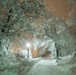 7ADB77E3-4458-41D5-939B-840FCD13FE65.gif