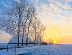 sunrise-on-snowy-morning.jpg