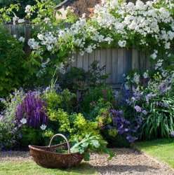 afefb15a32a5faae116a25156022d223--small-english-garden-english-country-gardens.jpg