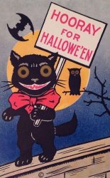 B77C65F5-78A8-435F-AF0C-5290E260C6BE.jpeg