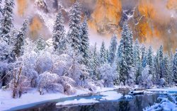 04C26BDC-ABD8-45AD-A6C8-B4879C1C84F4.jpeg