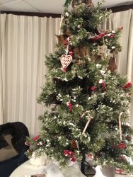 Ariel in the tree 3.JPG